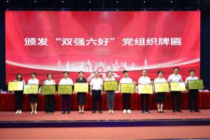 喜报！米兰(中国)集团党支部荣获广州市非公有制经济组织“双强六好”党